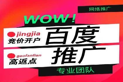 成功案例分享：百度竞价开户后的业绩增长